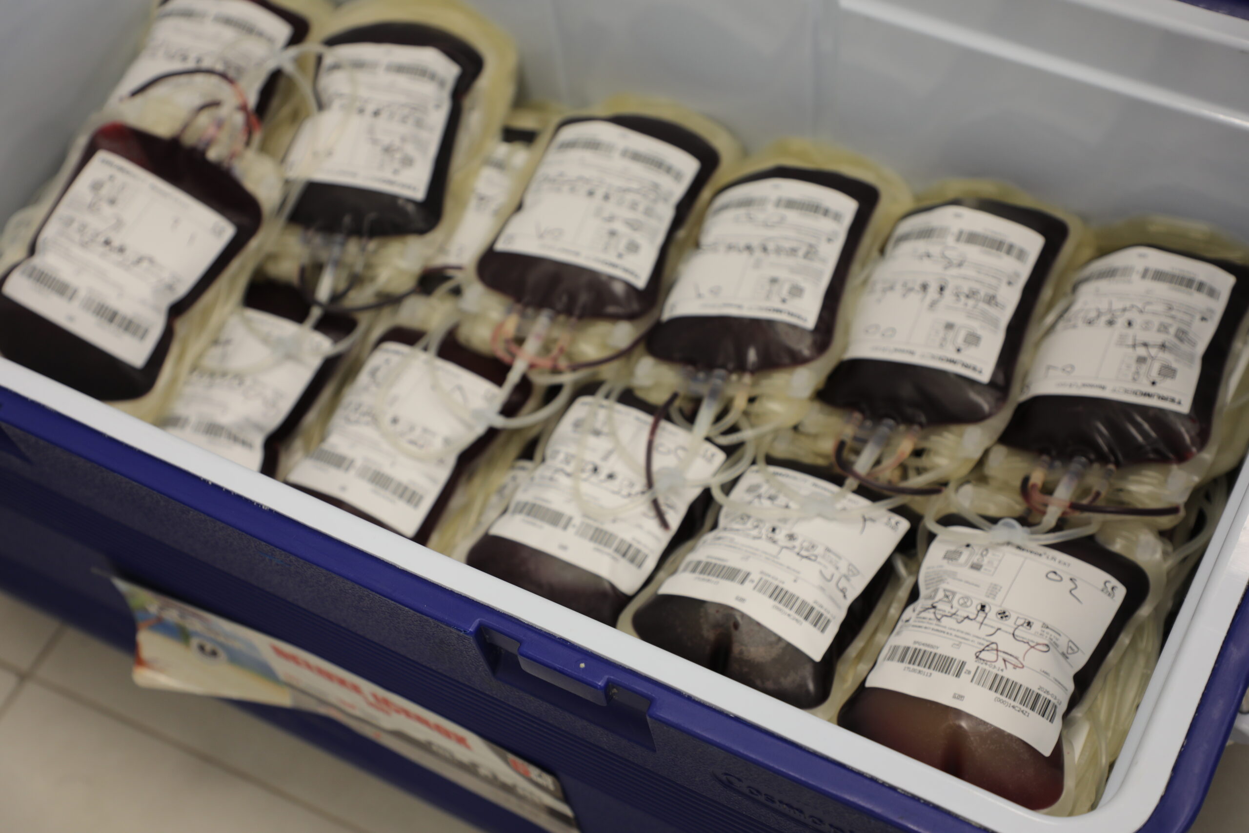 APCO organizes a blood donation campaign